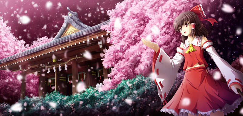 Cherry blossom festival at a shrine