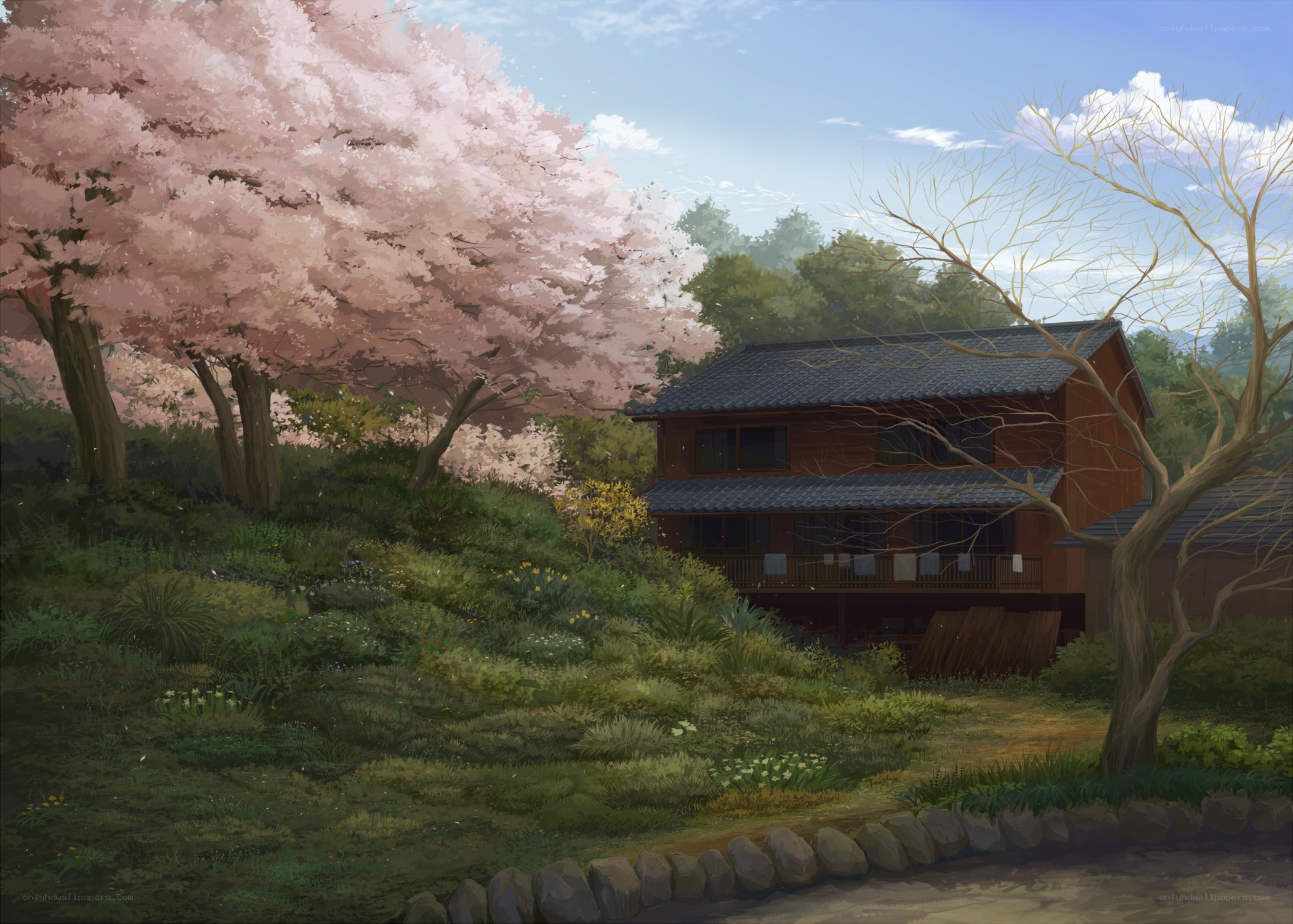 Cherry blossom garden house