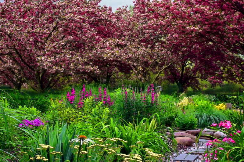 Cherry Blossom Garden — Pink, Serene, Spring, Digital Art