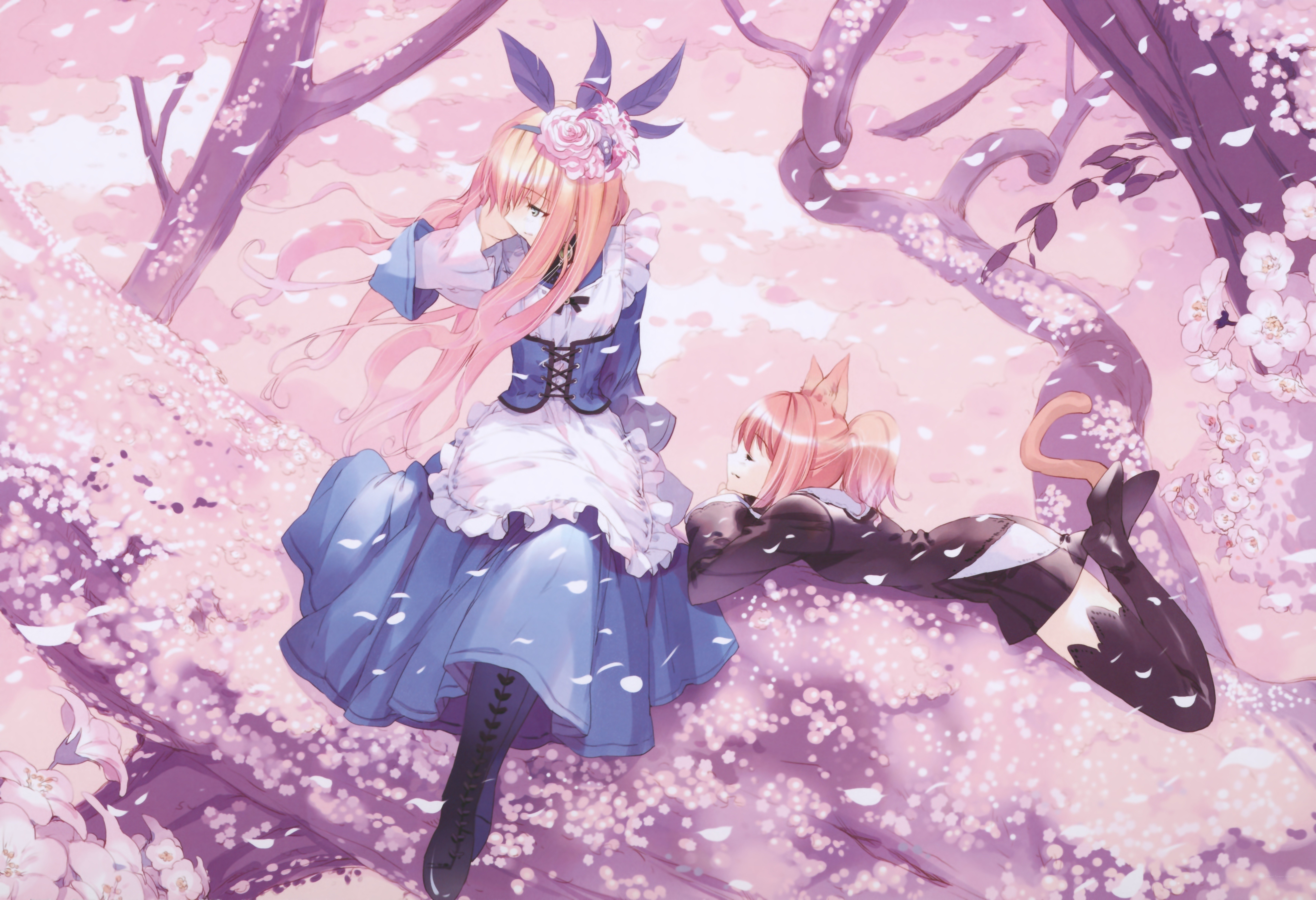 Cherry blossom garden scene