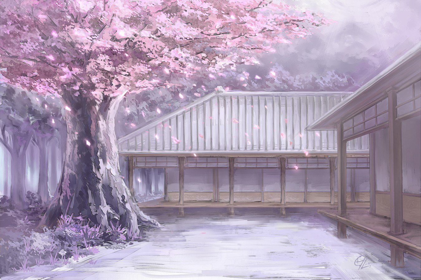 Cherry blossom garden scene