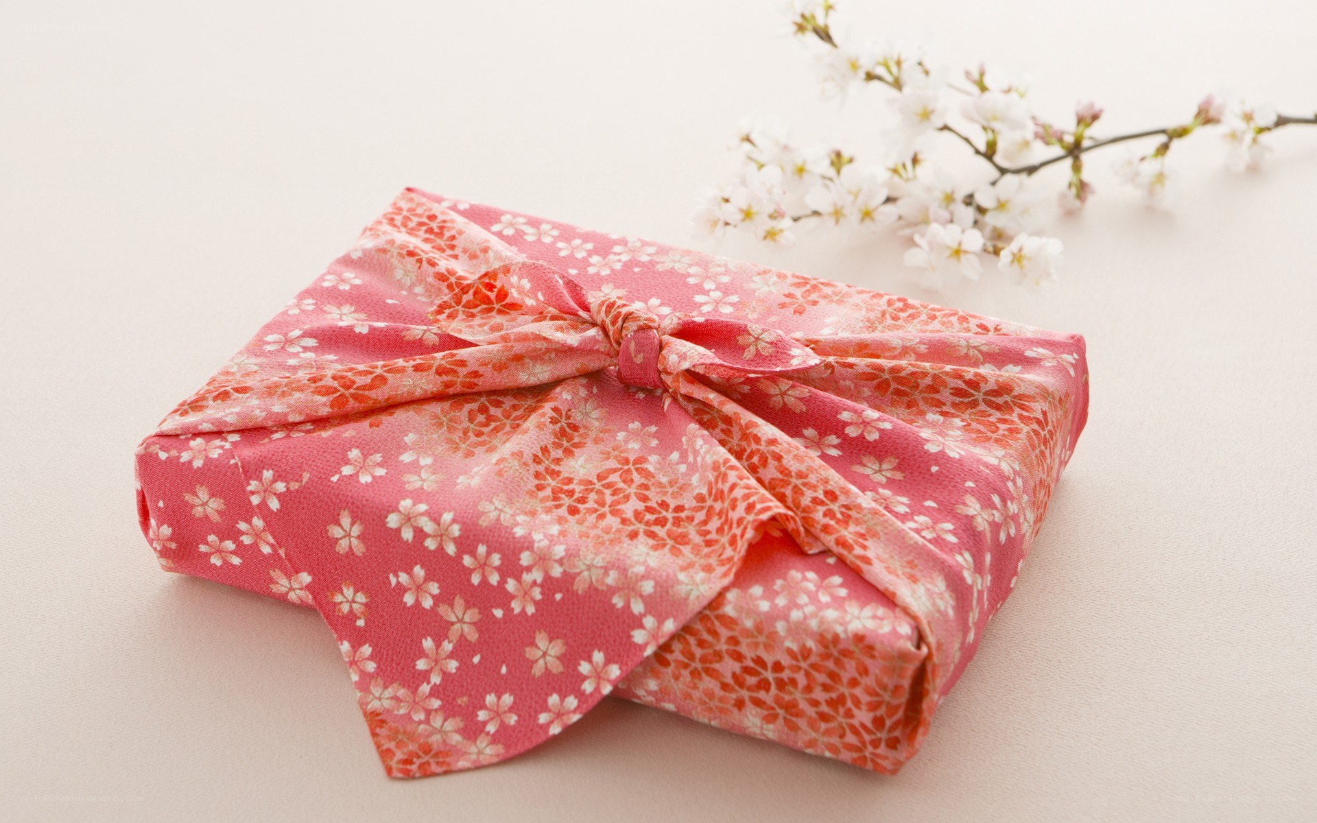 cherry blossom gift wrap