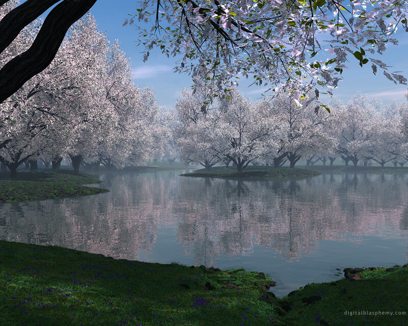 Cherry blossom grove by the lake