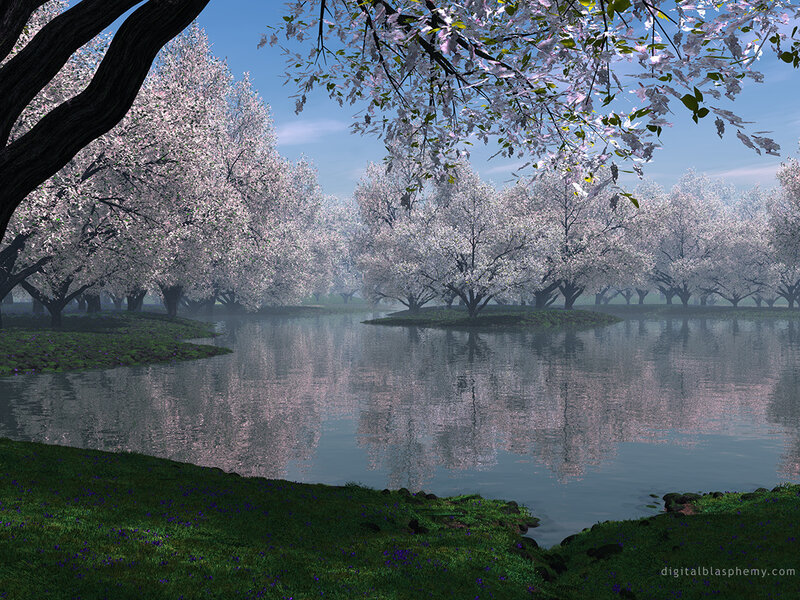 Cherry blossom grove by the lake