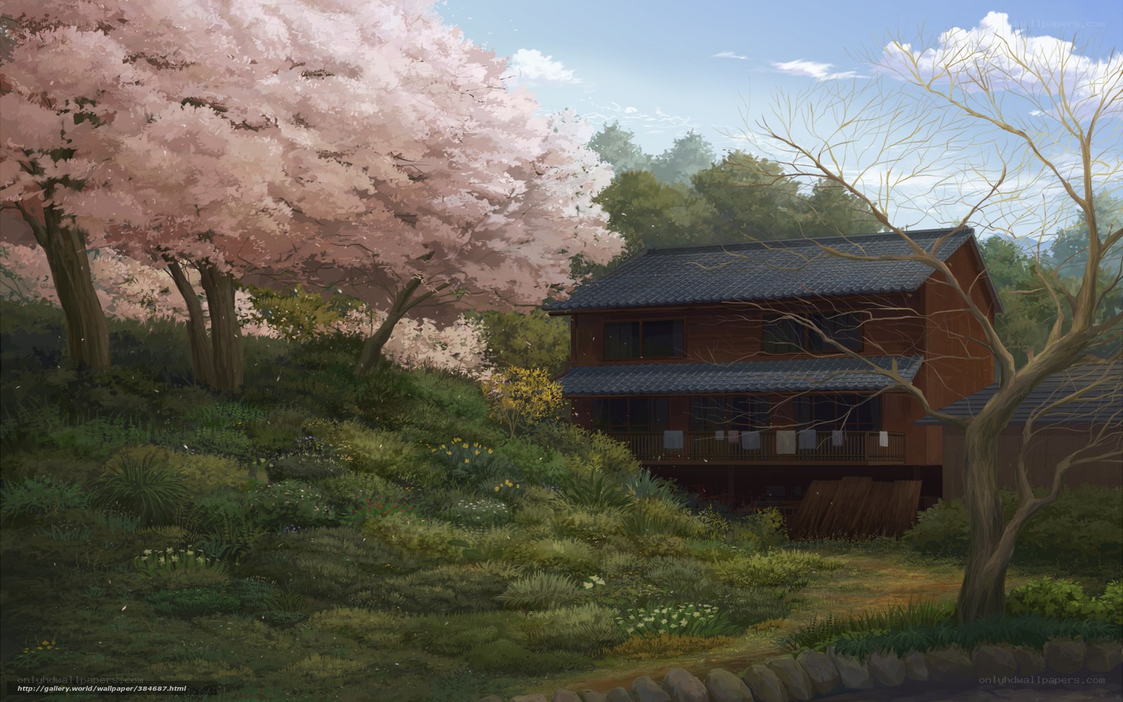 Cherry blossom house scene