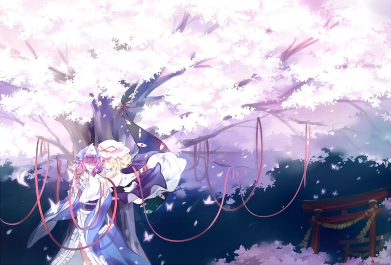 Cherry blossom lovers