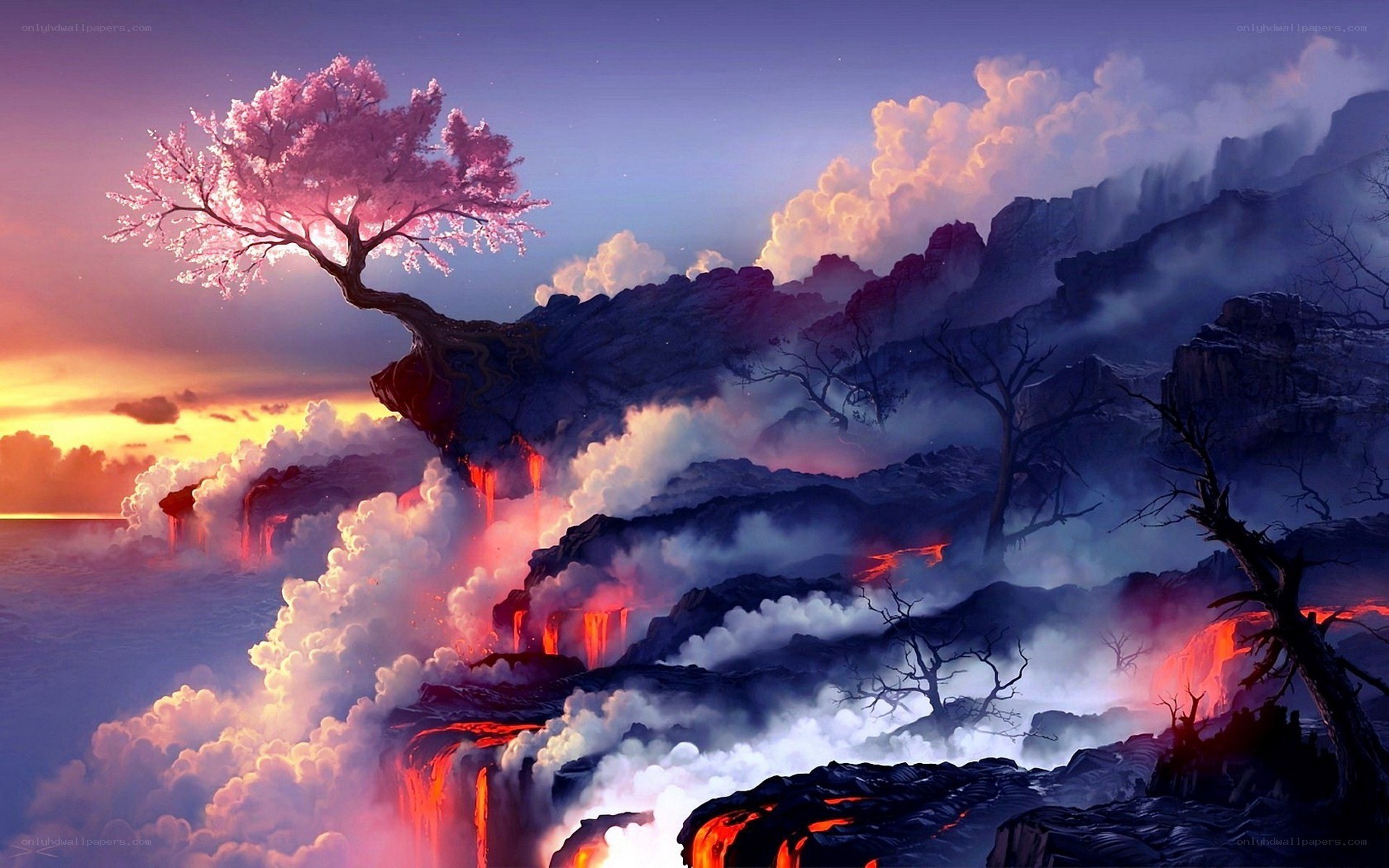 Cherry blossom on volcanic cliff