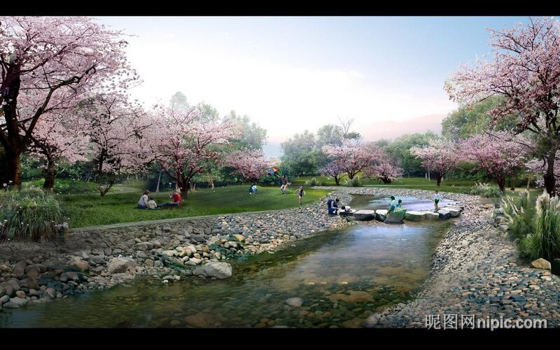 Cherry blossom park scene
