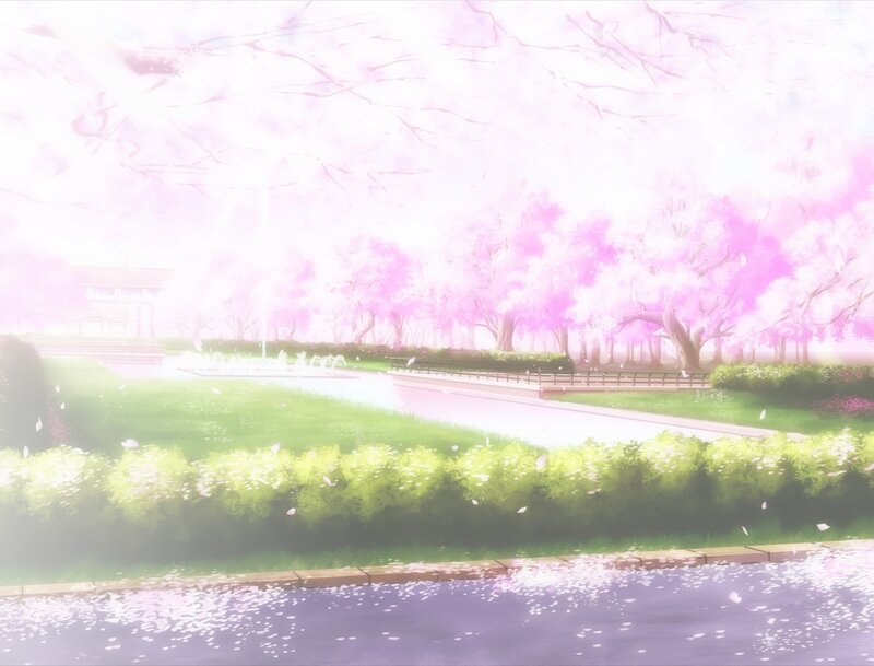 Cherry Blossom Park