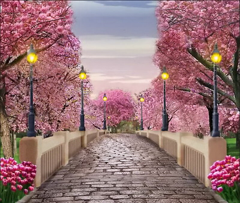 Cherry Blossom Pathway — Pink, Serene, Spring, Digital Art