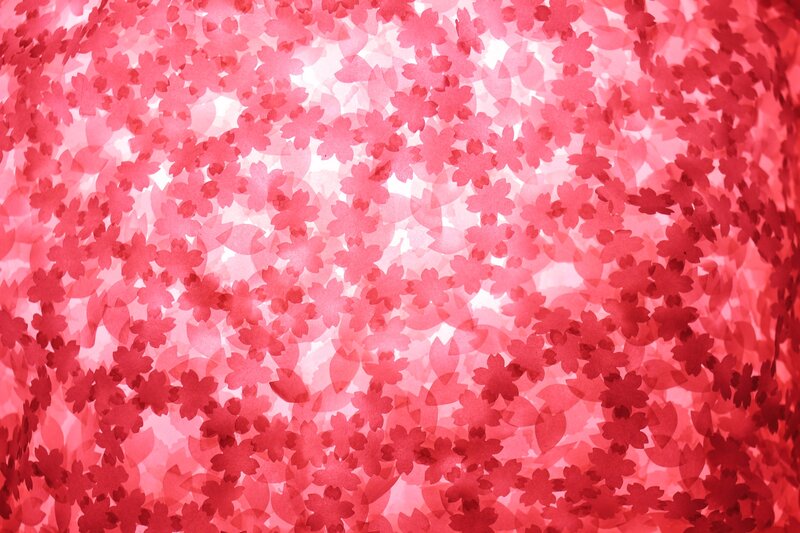 Cherry Blossom Pattern — Red