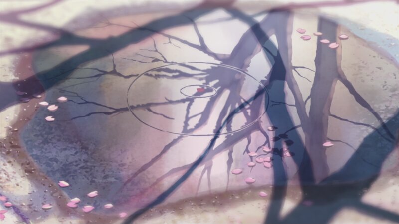 Cherry Blossom Petals on Ground — Pink, Serene, Spring