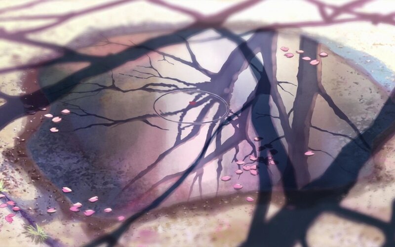 Cherry Blossom Petals on Ground — Pink