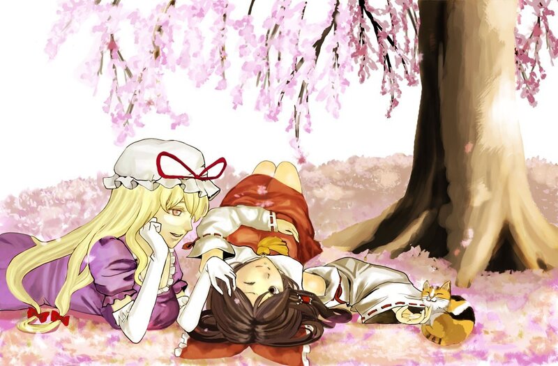Cherry blossom picnic