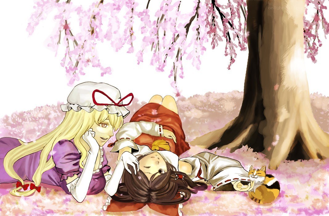 Cherry blossom picnic