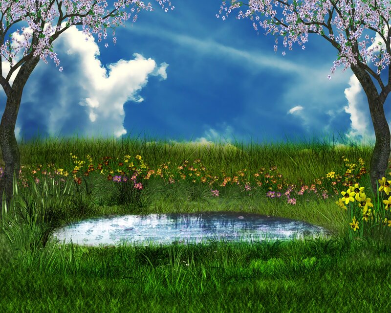 Cherry Blossom Pond