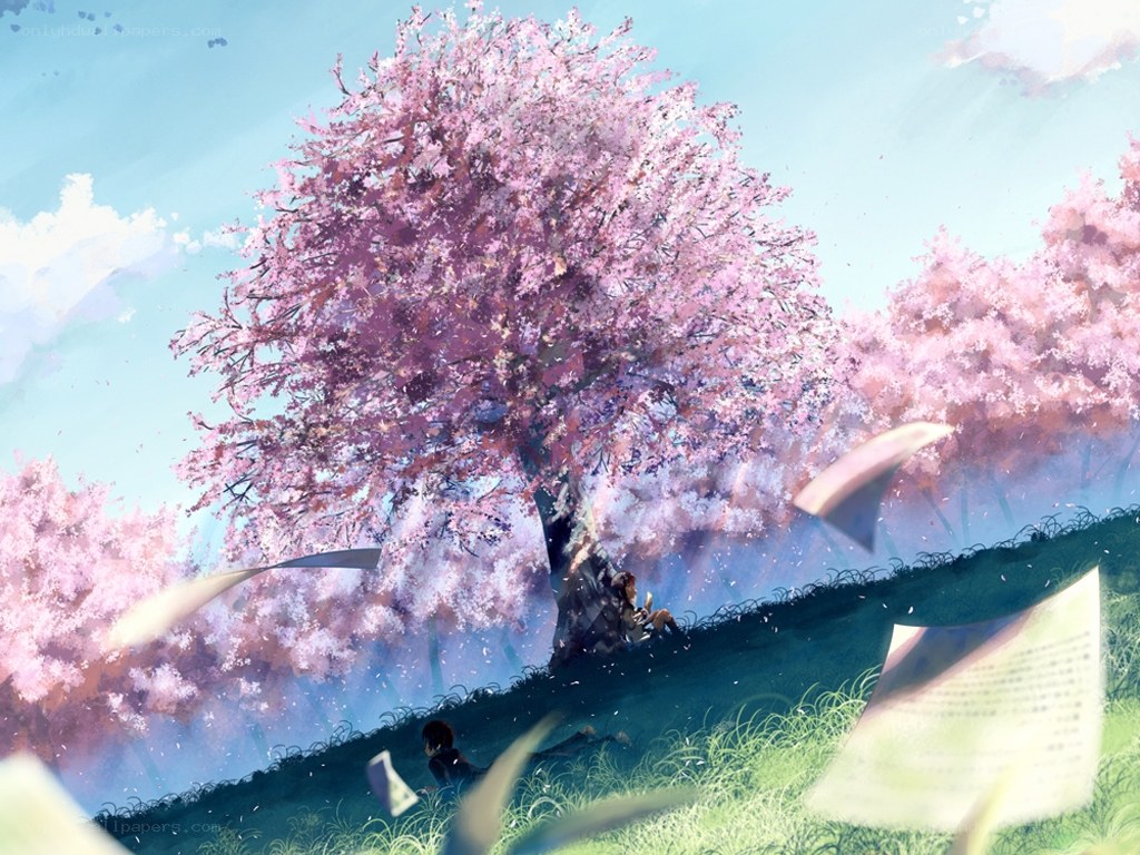 Cherry blossom reading scene