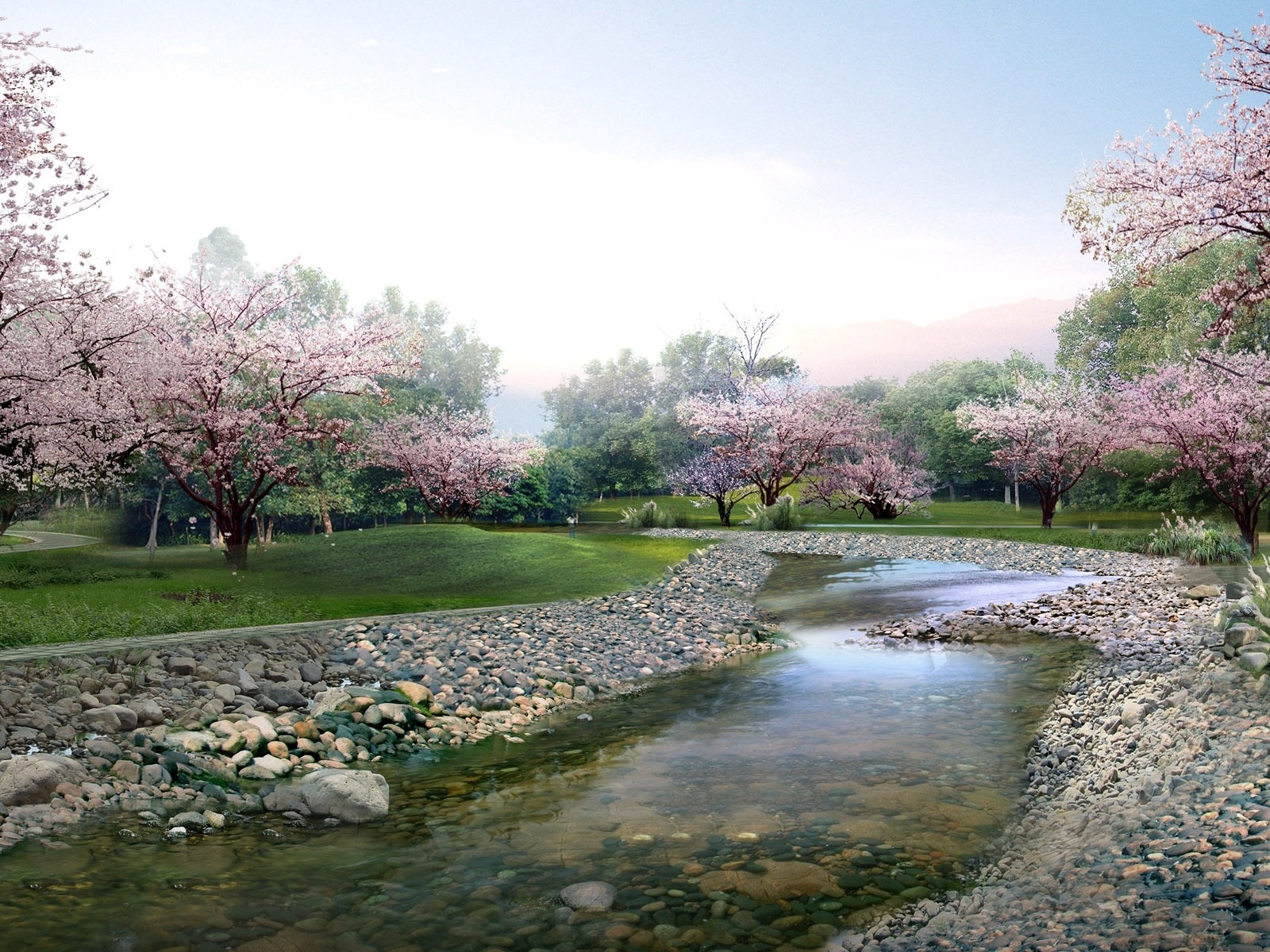 Cherry blossom river landscape