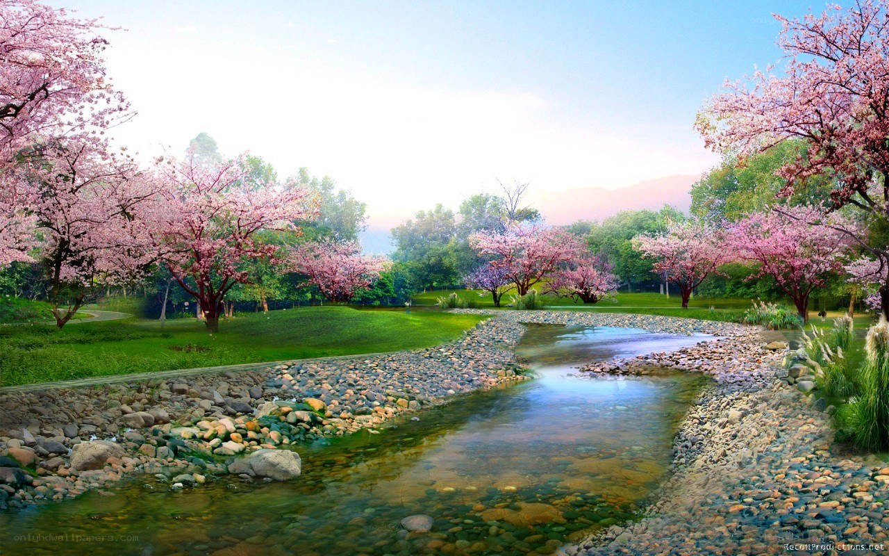 Cherry blossom river landscape