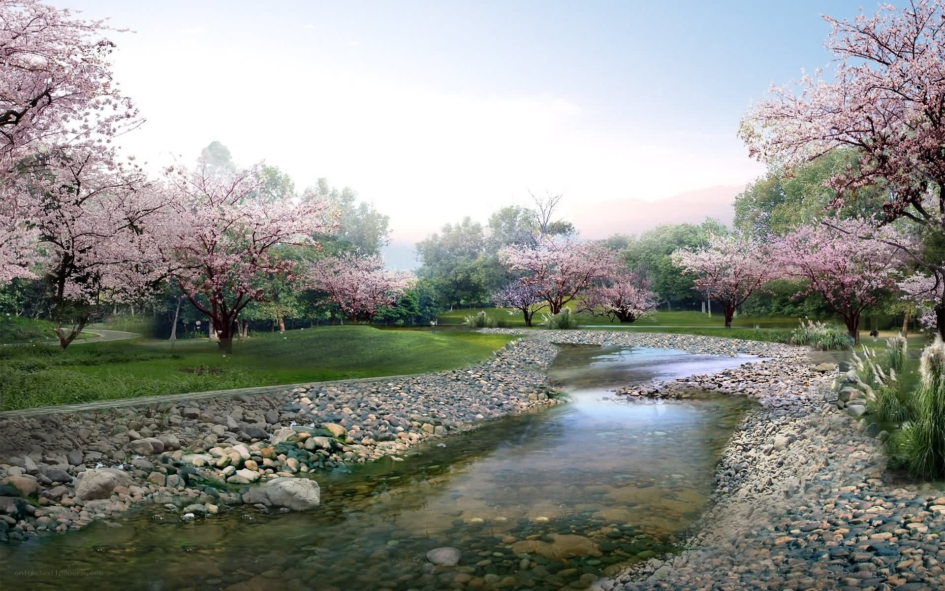 Cherry blossom river landscape