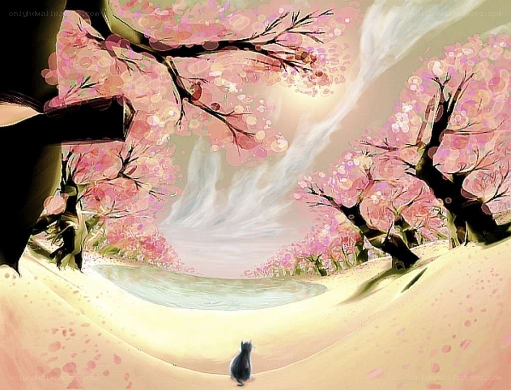 Cherry blossom river path