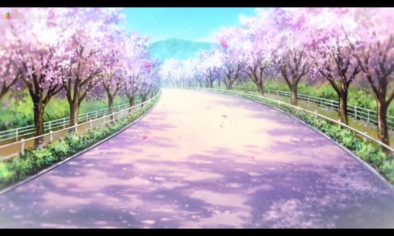 Cherry Blossom Road
