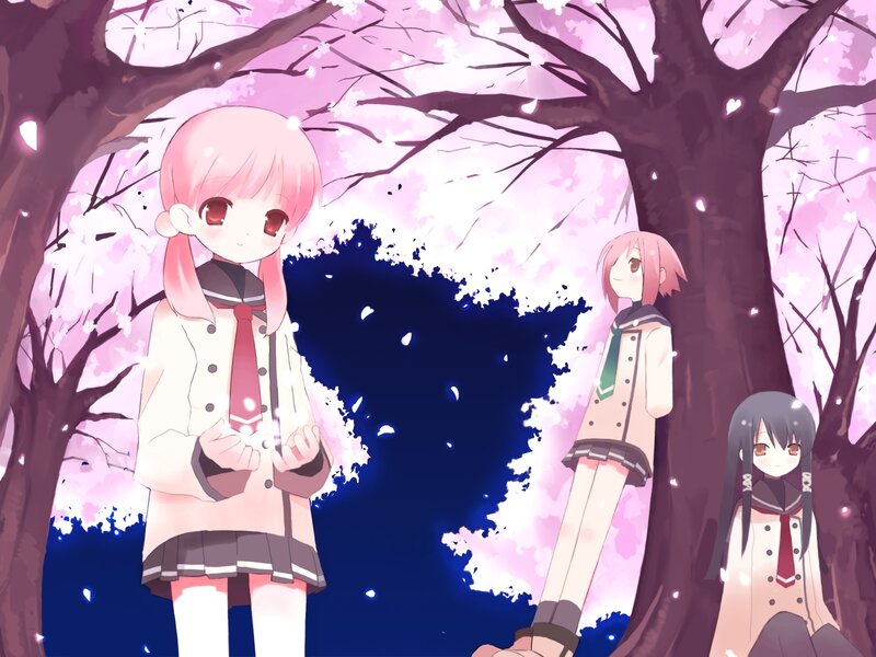 Cherry blossom schoolgirls