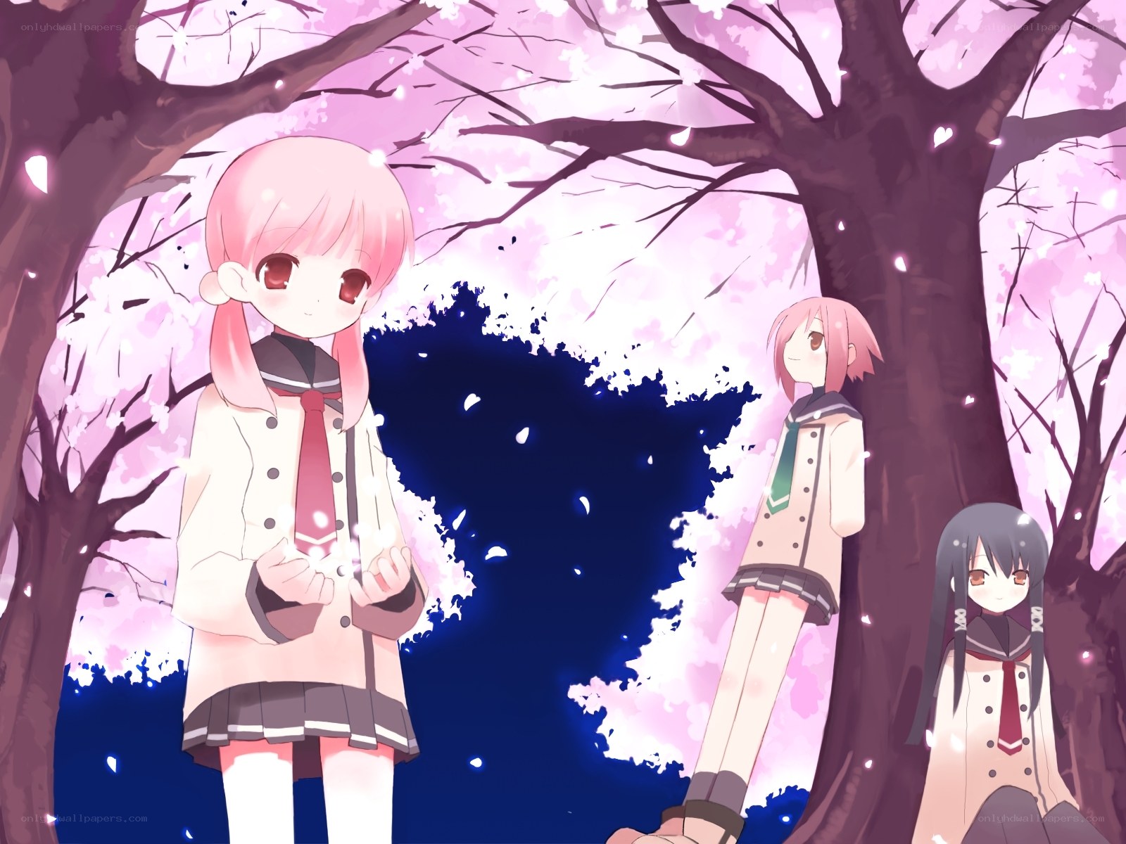 Cherry blossom schoolgirls