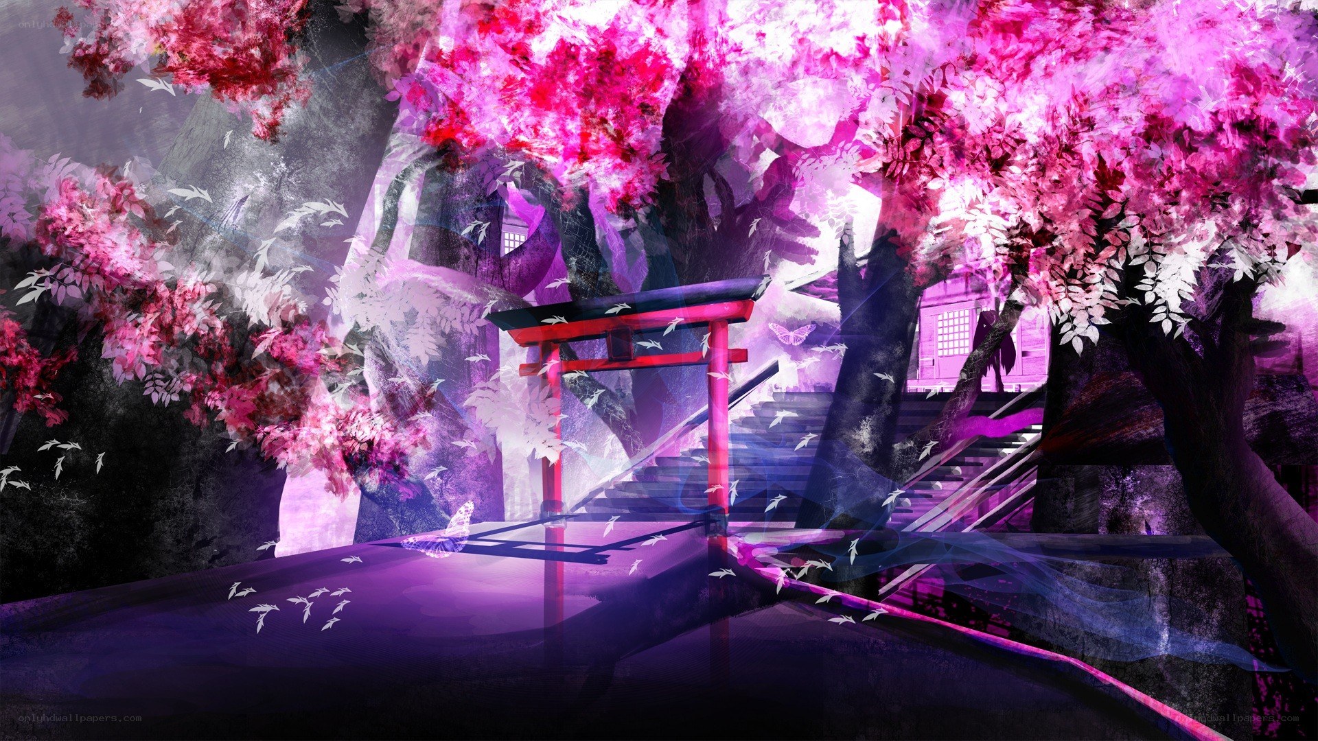 Cherry blossom shrine at night