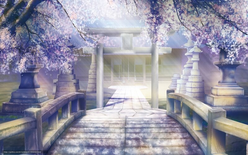 Cherry Blossom Shrine — Purple, Serene, Spring