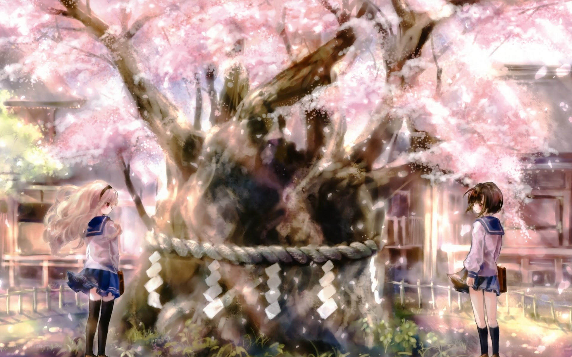 Cherry blossom shrine scene