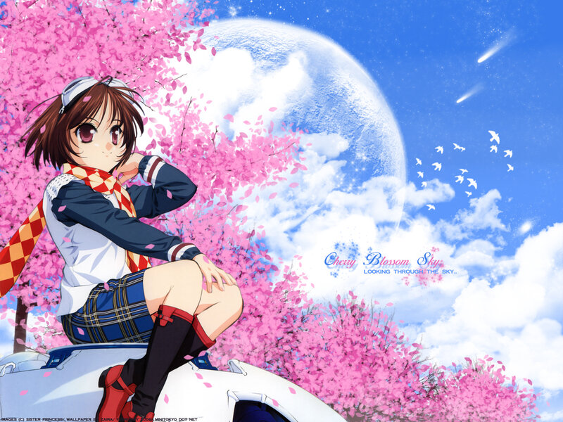 Cherry Blossom Sky