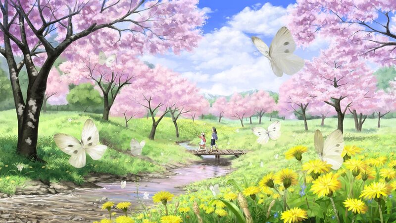 Cherry blossom spring scene