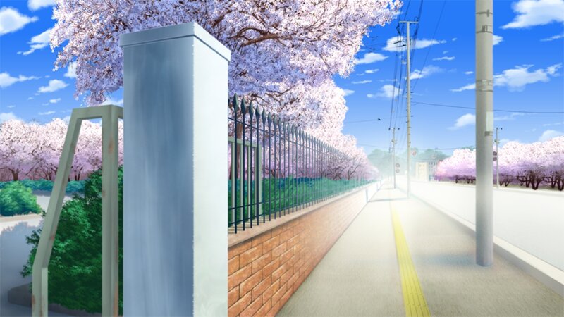 Cherry Blossom Street — Blue, Serene