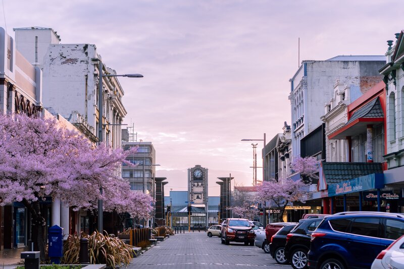 Cherry Blossom Street — Pink, Serene, Spring, Photograph, Buildings