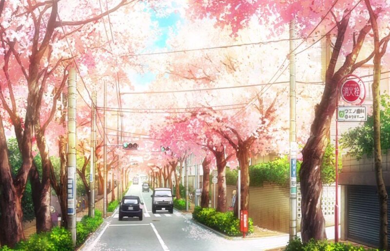 Cherry Blossom Street — Pink, Serene