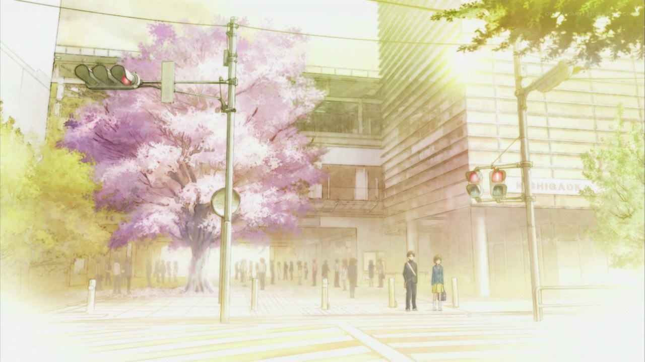Cherry blossom street scene