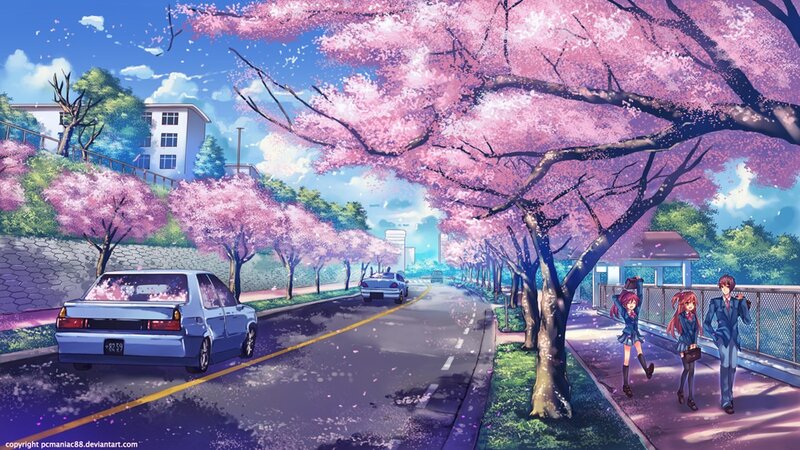Cherry blossom street scene