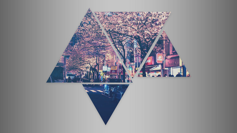 Cherry Blossom Street Scene — Purple