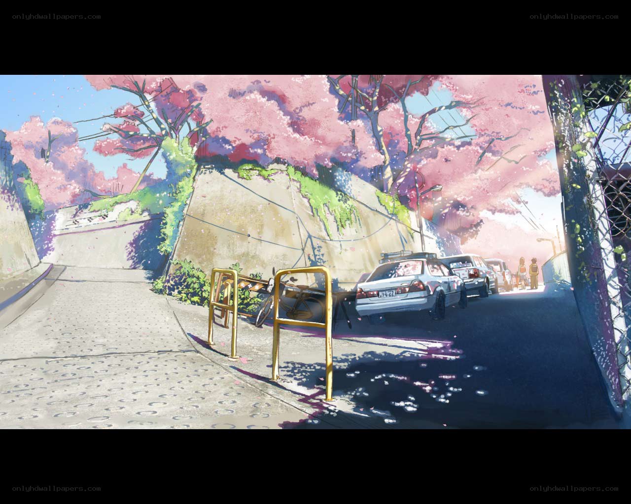 Cherry blossom street scene