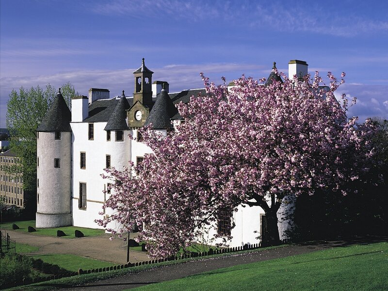Cherry Blossom Tree and Castle — White