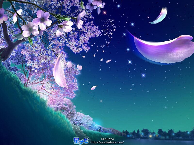 Cherry Blossom Tree at Night — Purple