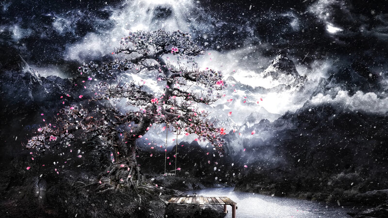 Cherry Blossom Tree — Black, Dramatic, Winter