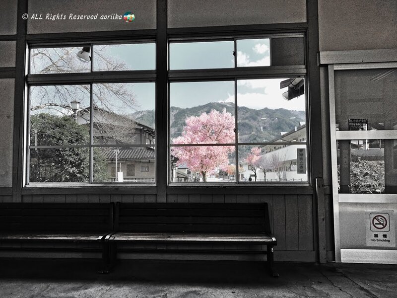 Cherry Blossom Tree — Black, Serene