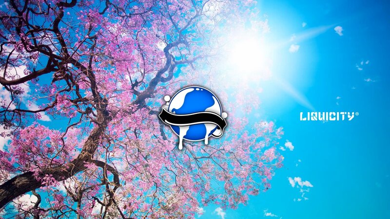 Cherry Blossom Tree — Blue, Serene, Spring, Photograph, Sun