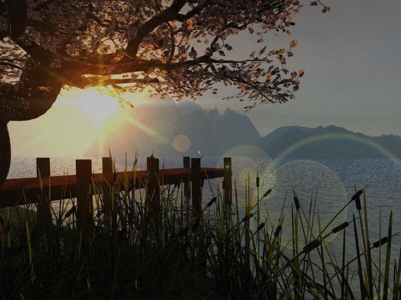 Cherry Blossom Tree by Lake — Brown