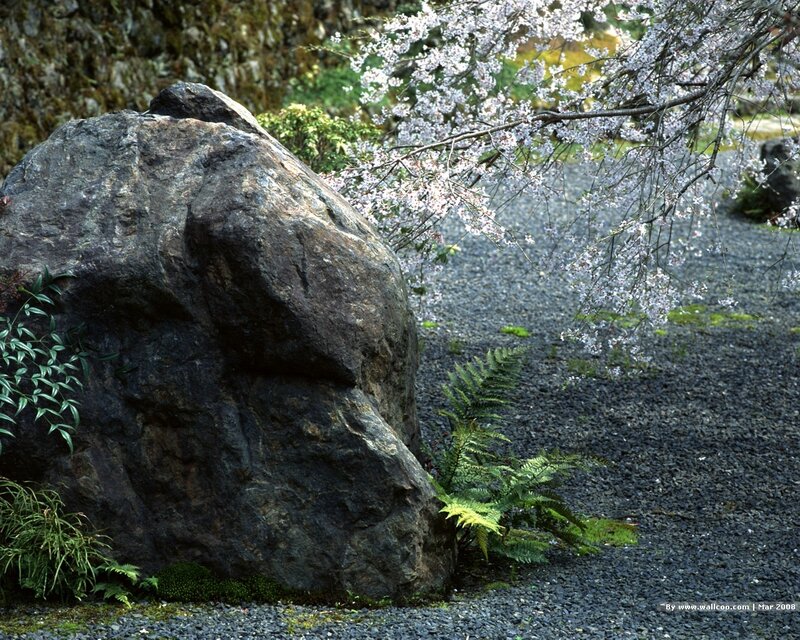 Cherry Blossom Tree — Gray