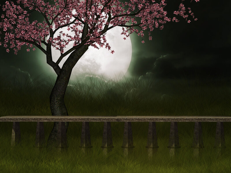Cherry Blossom Tree — Green, Serene, Night