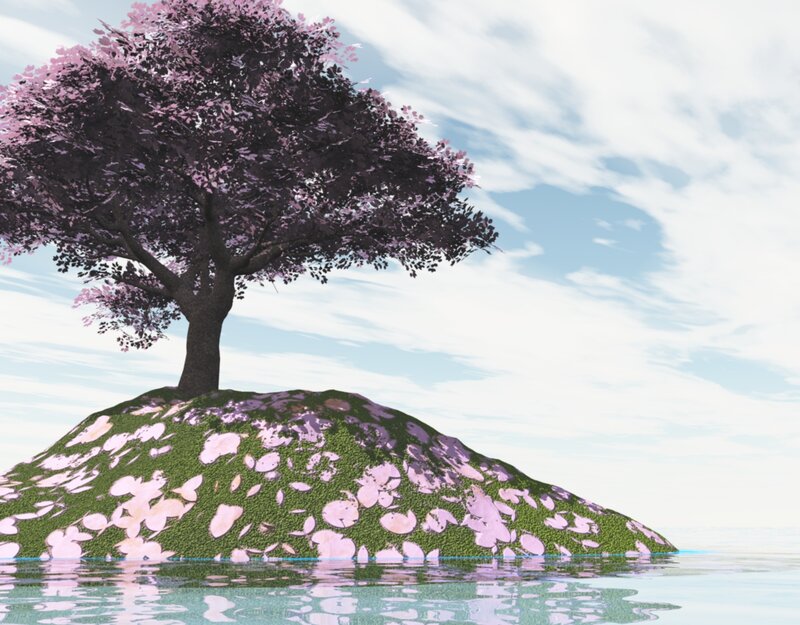Cherry Blossom Tree — Green, Serene, Spring, 3d Render