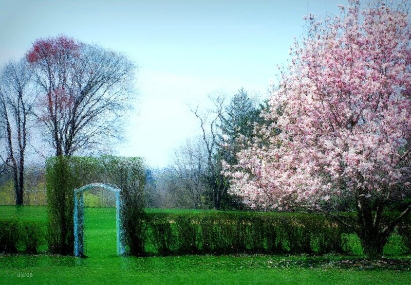 Cherry Blossom Tree — Green